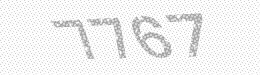Visual security code — type the characters shown in the image